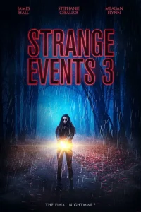 Странные дела 3